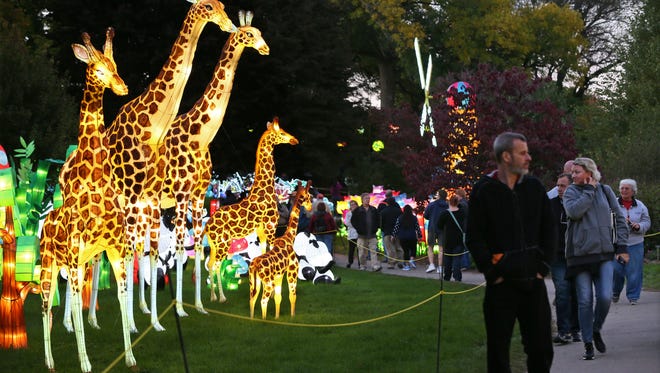 Giraffes are part of the China Lights display at Boerner Botanical Gardens. China Lights features 40 larger-than-life sculptural lantern displays, stage performances and a marketplace.