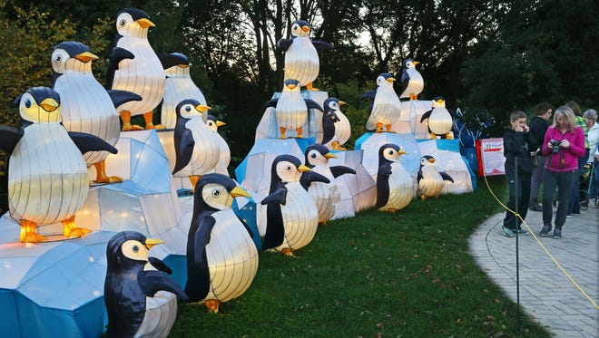 China Lights at Boerner Botanical Gardens includes a display of penguins. This celebration of Asian culture features 40 larger-than-life sculptural lantern displays, stage performances and a marketplace. Twenty-eight  artisans from China worked on the site for the last month to create the display.