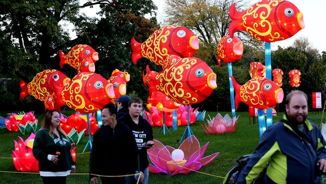 The prosperous fish, widely used during Chinese spring festivals, are part of the China Lights display at Boerner Botanical Gardens.