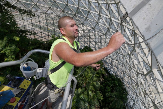 Masonry Restoration foreman Ken Glyzewski works on placing steel cable and brackets that will support wire mesh inside the Tropical Dome at the Mitchell Park Domes Horticulture Conservatory in July, 2016. The mesh will protect the public from falling concrete.