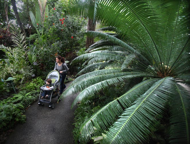 Renee Larsen of Greenfield babysits 19-month-old Mikey Hoffmann during a tour of the Mitchell Park Domes in January, 2011.