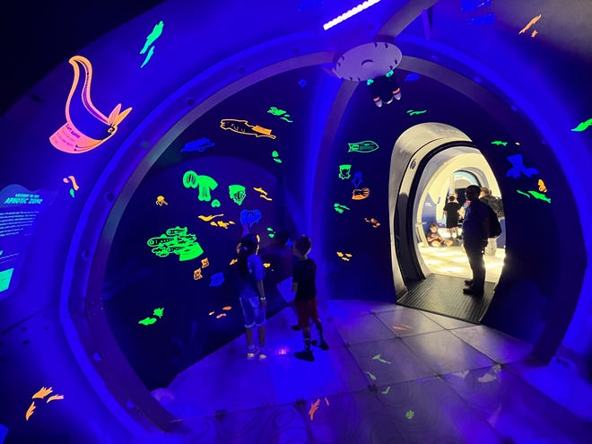 In Discovery World's new Me, Undersea exhibit, visitors will learn about how sea animals use bioluminescence.